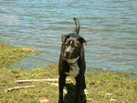 Buster 031.jpg