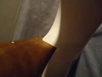 DSC05440.JPG