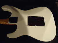 DSC05466.JPG
