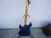DSC05556.JPG