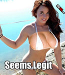 Seems Legit.jpg