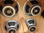 MARSHALL CAB SPKRS.jpg
