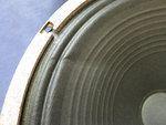 speaker 1 zoom.jpg