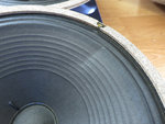 speaker 2 zoom.jpg
