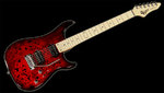 vigier.jpg