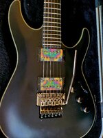 schecter (3).jpg