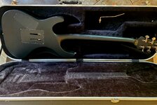 schecter (1).jpg