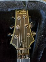 schecter (4).jpg