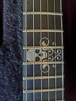 schecter (5).jpg