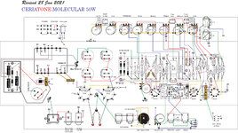 Molecular-50-28-Jan-2021.jpg