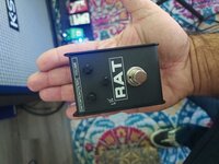 20220423_102756.jpg