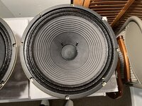 IMG_0742.jpeg