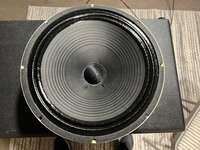 IMG_0768.jpeg
