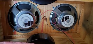 20210606_173041.jpg