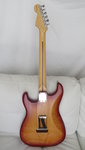 Guitar Collection 089.JPG