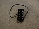 DSC01443.JPG