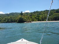 20210306_123308.jpg