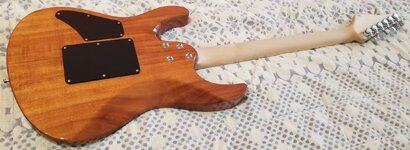 Suhr Modern Koa_B.jpeg