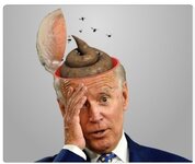 biden crap for brains.jpg