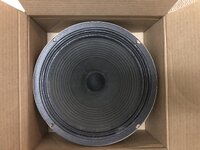 v306.JPG