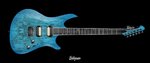 My-Balaguer-Custom-Guitar.jpg