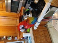 IMG_20221217_213958.jpg