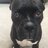 Rocco